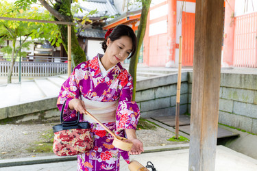 Similar image 11784166