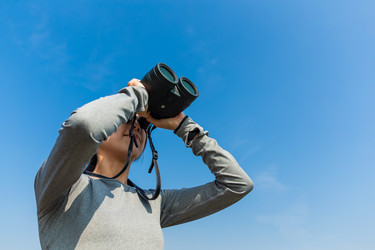 Similar image 11784739