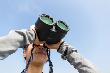 Similar image 11784740