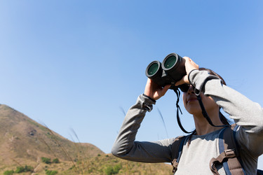 Similar image 11783438