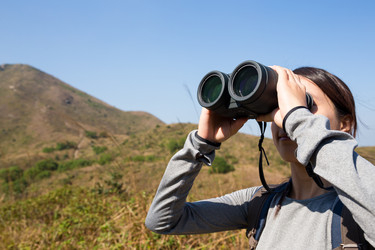 Similar image 11783440