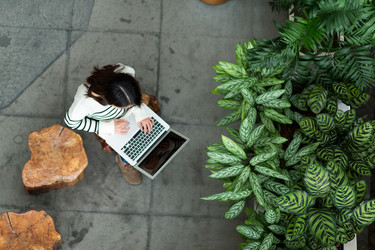 Similar image 11783463