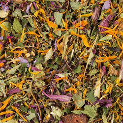 Similar image 11786975