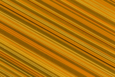 Similar image 11786996