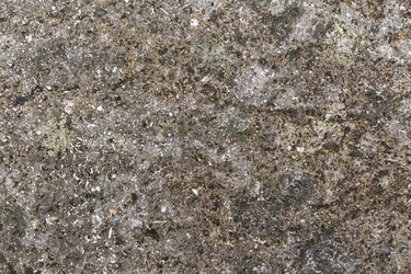 Similar image 11786998