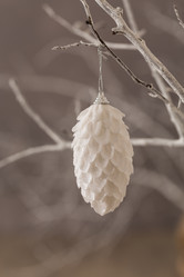 Similar image 11787037