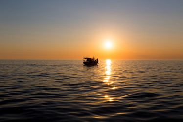 Similar image 11787056