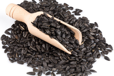 Similar image 11787070