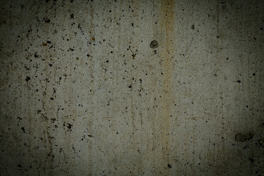 Similar image 11787092