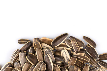 Similar image 11787130