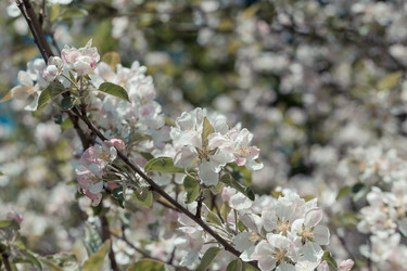 Similar image 11787131