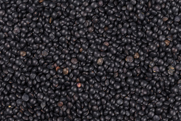 Similar image 11787156