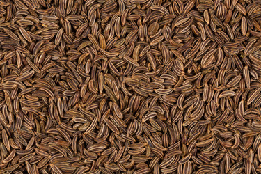 Similar image 11787193