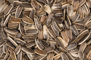 Similar image 11787194