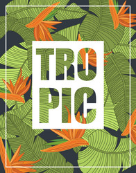 Similar image 11832139