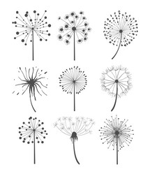 Similar image 11833288