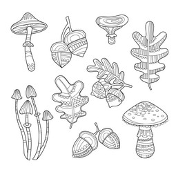 Similar image 11834377