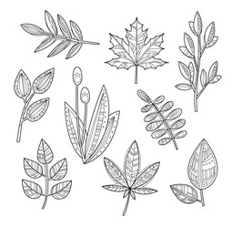 Similar image 11829645