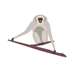 Similar image 11833504