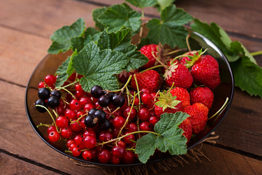 Similar image 11783203