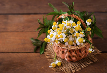 Similar image 11783242