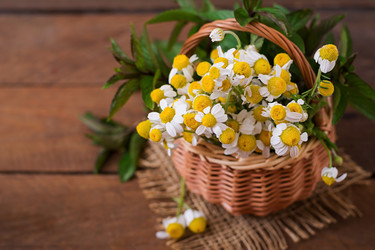 Similar image 11783244