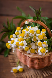 Similar image 11783248