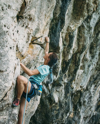 Similar image 11790199