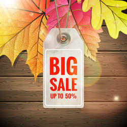 Similar image 11806711