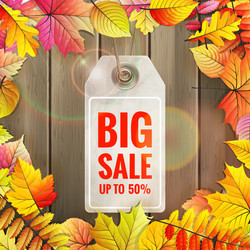 Similar image 11806712