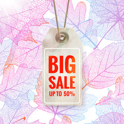 Similar image 11806713