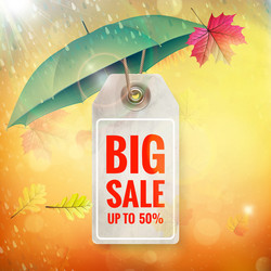 Similar image 11806763