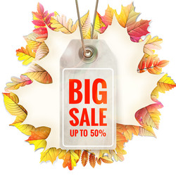 Similar image 11806764