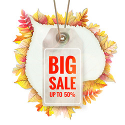 Similar image 11806784