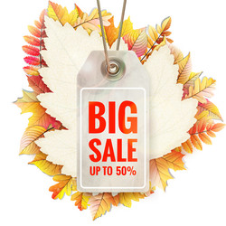 Similar image 11806785