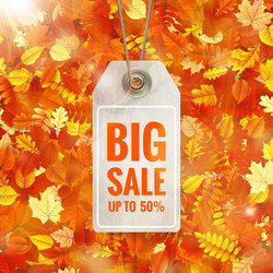 Similar image 11806786