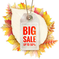 Similar image 11806871