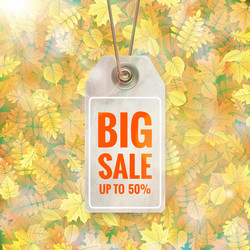 Similar image 11806889