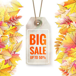 Similar image 11806891