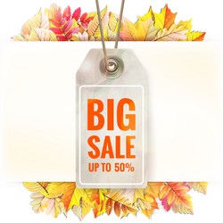 Similar image 11807004