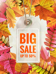 Similar image 11807005