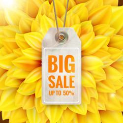 Similar image 11807006