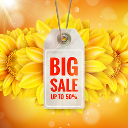 Similar image 11807025