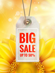 Similar image 11807043