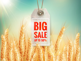 Similar image 11807044