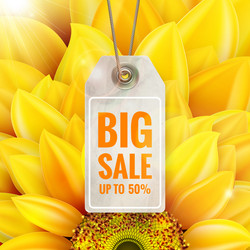 Similar image 11807067