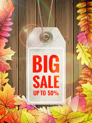 Similar image 11807090