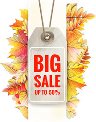 Similar image 11808411