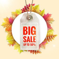 Similar image 11808429