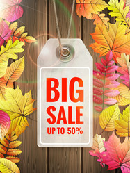 Similar image 11808431